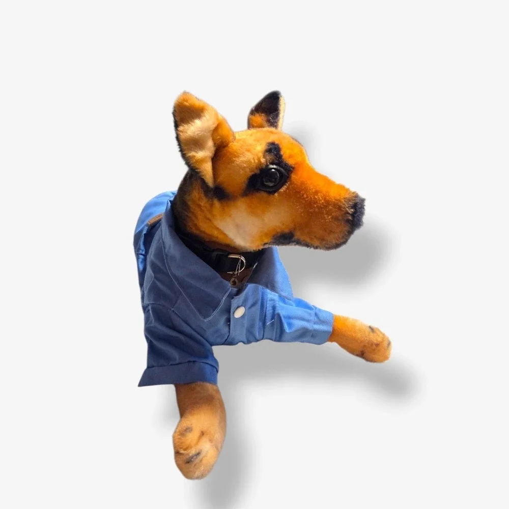 Liang Chong Blue‎ Canvas Dog Jacket with D-Ring and Snap Buttons Size